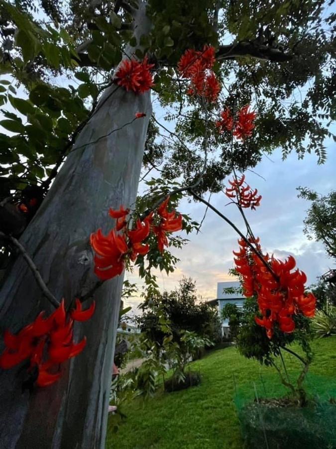 Tip House Villa Khao Kho Luaran gambar